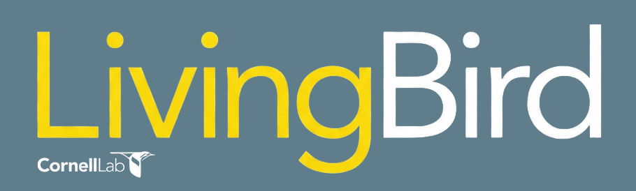 Living Bird Magazine